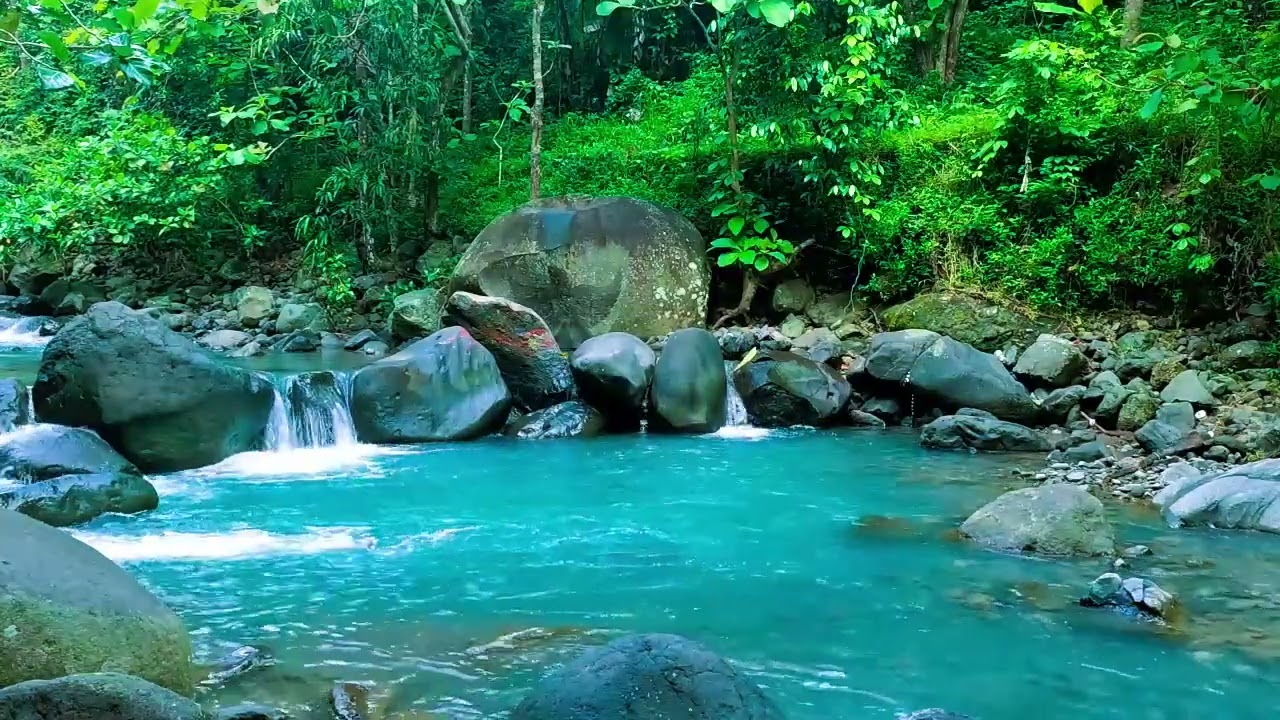 Tranquility and Natural Beauty | Find Your Center with Nature's Harmony