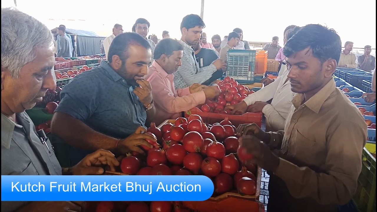 Kutch Fruit Market || Bhuj || Auction || DADAM || Pomegranate Auction ||