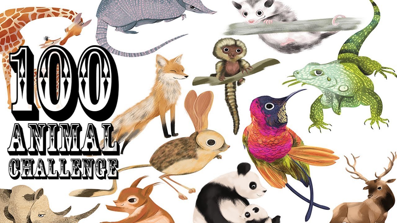 100 Animal Challenge – Sketchbook tour