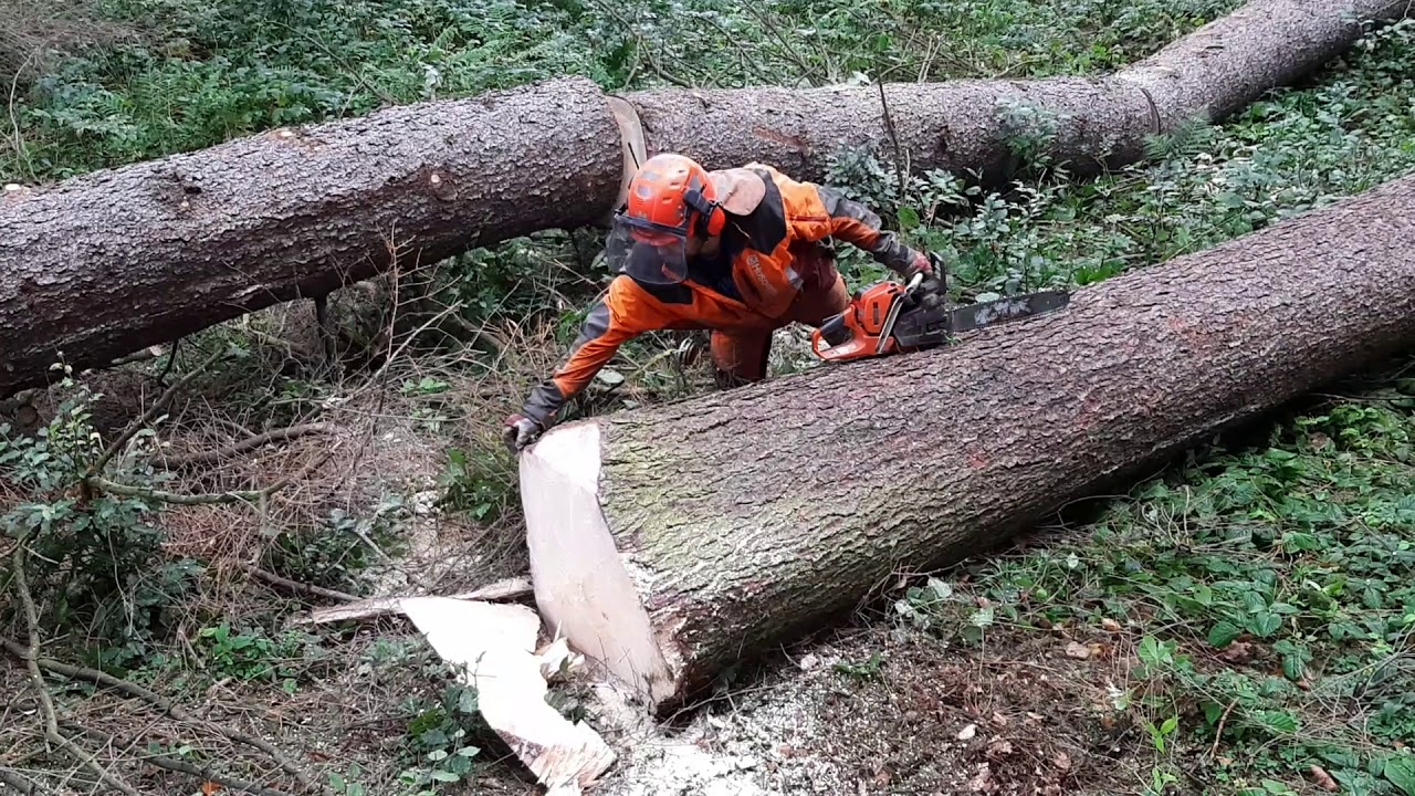 Lumberjack Master nicknamed 