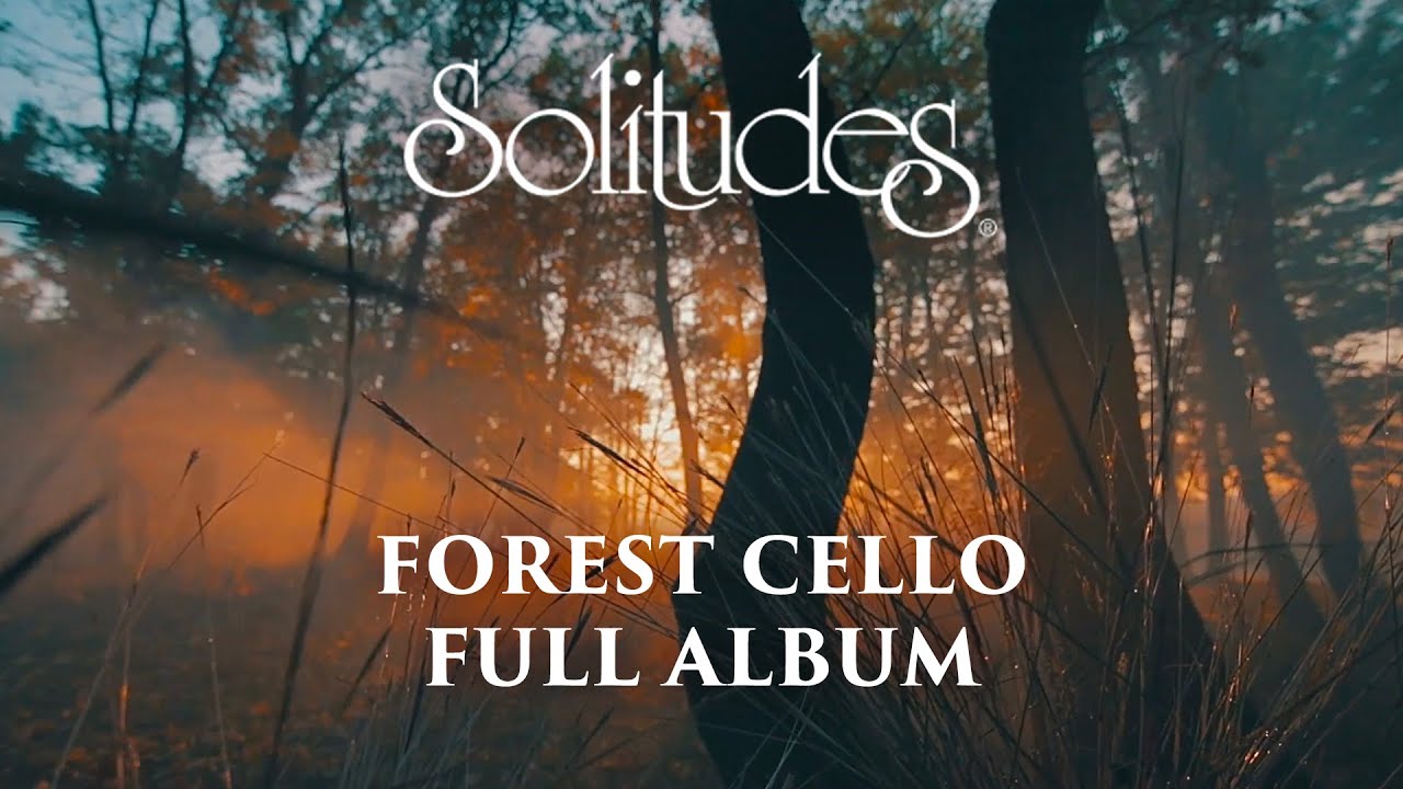 1 hour of Relaxing Music: Dan Gibson’s Solitudes - Forest Cello (Full Album)