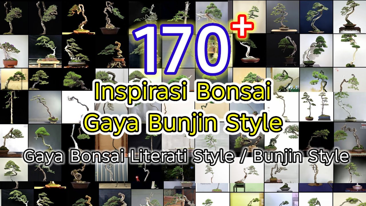 Inspirasi Bonsai Bunjin style Terbaik