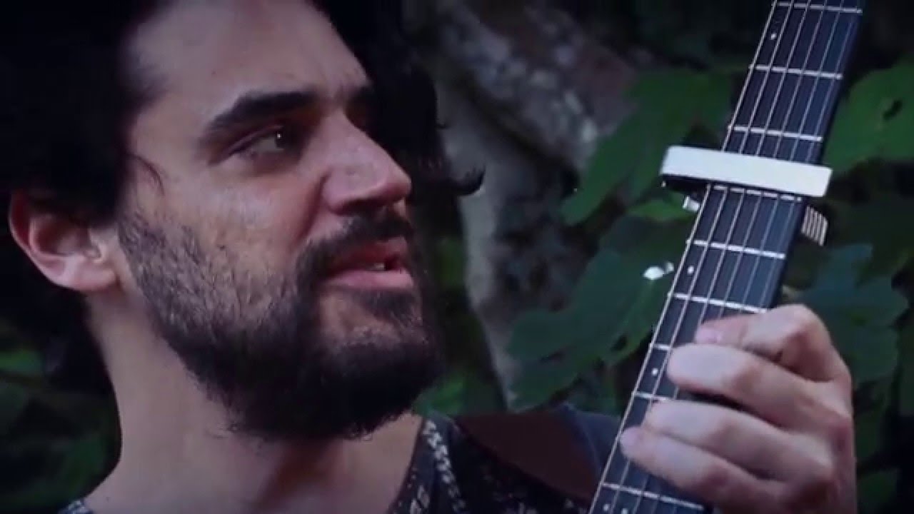 (HD) Los grillos del monte - 