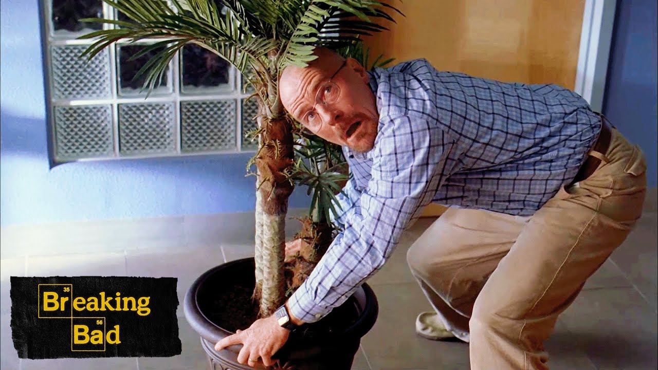 Walter Tries To Break Into Ted's Office | Green Light | Breaking Bad