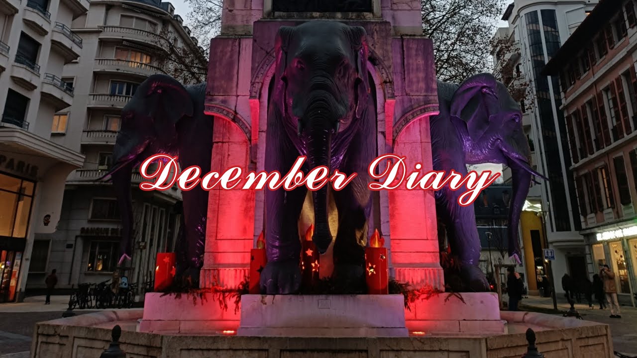 A Soft Goodbye to December - Winter diary ‧ ݁˖˚🎄✩  ݁˖˚🦌⊹♡