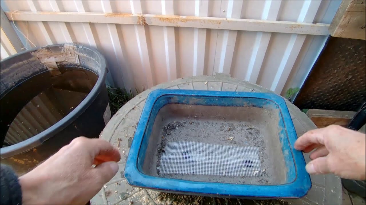 Весна 2020 ямадори жимолость татарская Lonícera tatárica работа с заготовкой часть 1