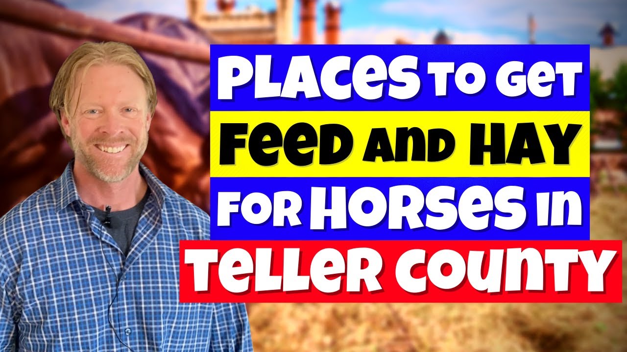 Places To Get Feed And Hay For Horses In Teller County | Owning A Horse Property