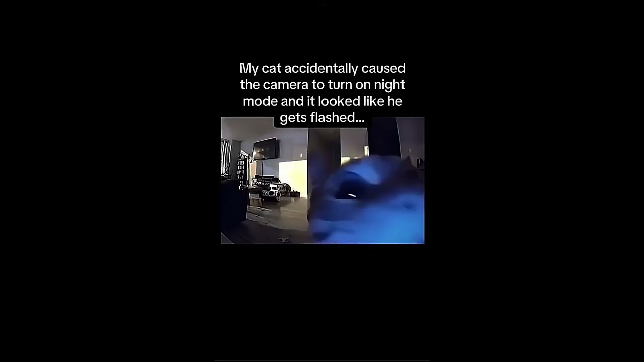 Oof (not my video) #shorts #like #subscribe
