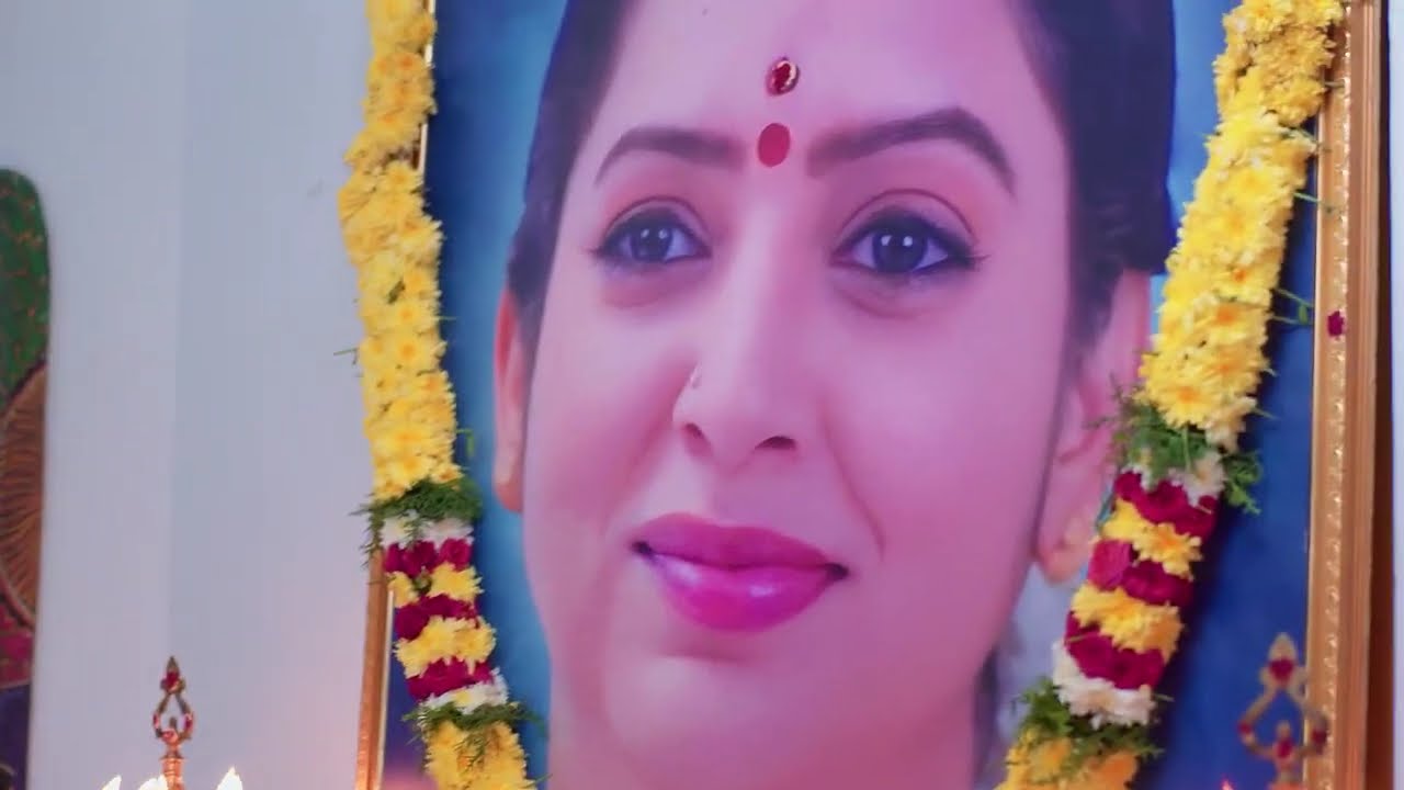 Karthigai Deepam - Full Ep - 676 - Karthikeyan, Deepa, Abirami - Zee Tamil