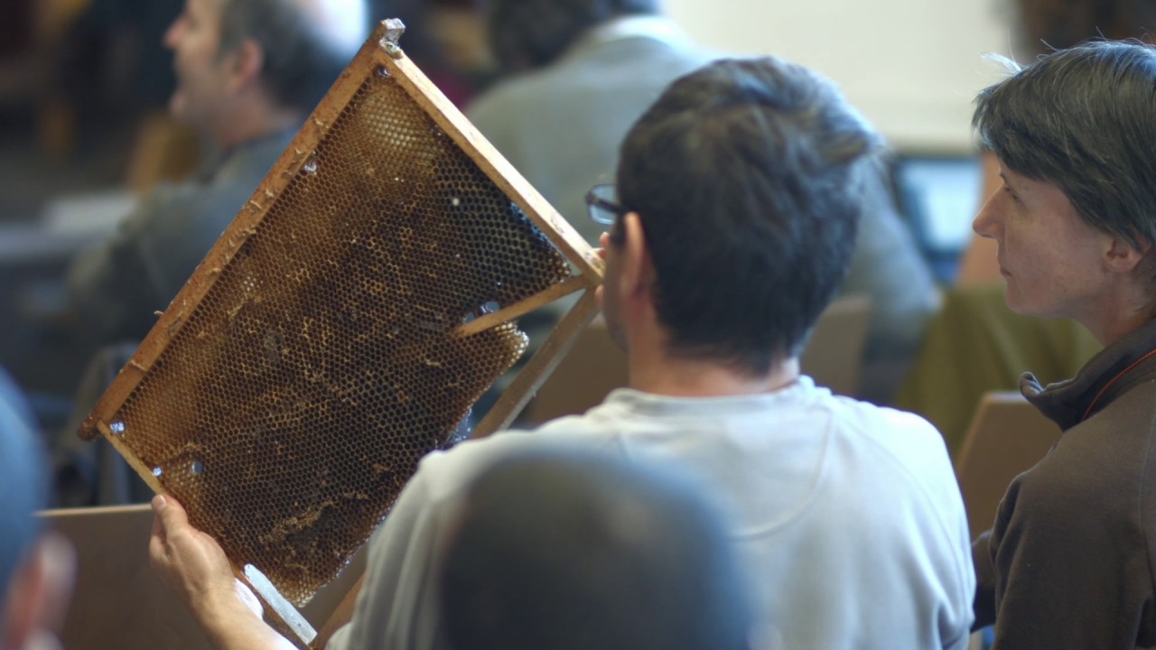 Apiculture bio - La cire à bâtisse libre.