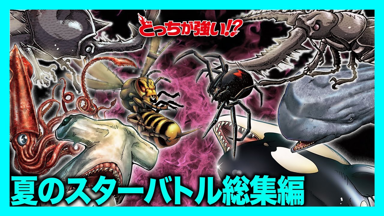 【どっちが強い総集編】夏のスター動物バトル特集！「カブトムシvsクワガタ」や「クジラvsダイオウイカ」夏の動物たちによる太陽のようにアツい戦い4選！【漫画】