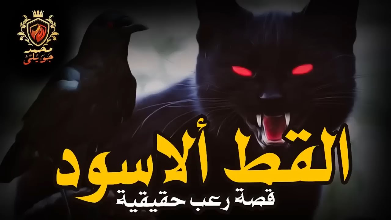 قصة رعب حقيقية عن حارس امن مخزن أدويه بمنطقه شعبيه كاد يموت من الرعب بسبب ما شاهده  / مكرره