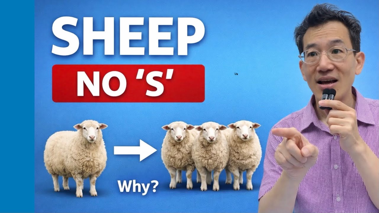 Неизменяемые слова в английском: почему SHEEP и DEER не меняются