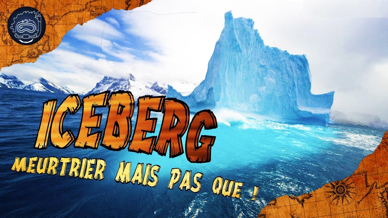🚢 Icebergs : Meurtriers mais pas que ! 🚢 - #CURIOCEAN #9