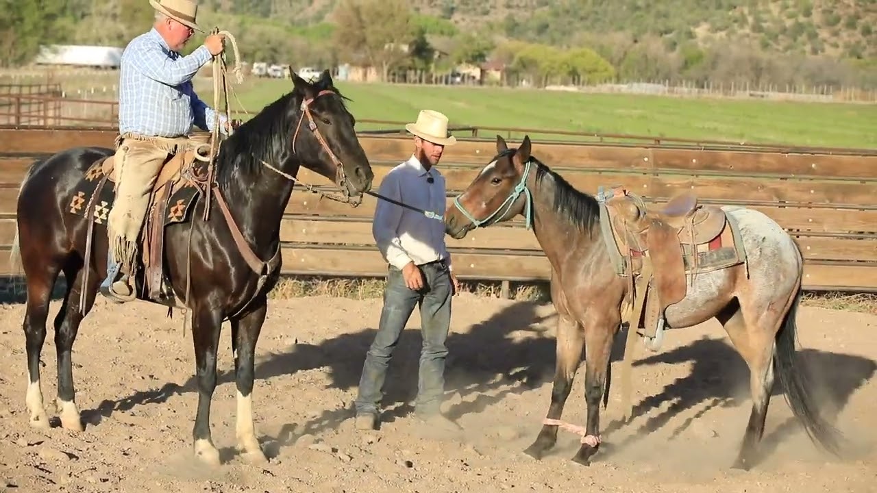 Cody Deering Giving Bret a Traditional Snub on a First Ride