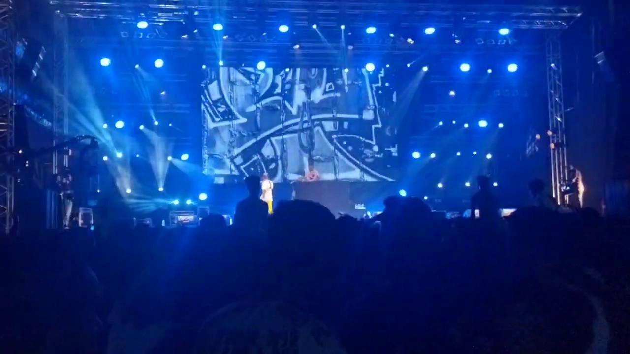 Dollypran - TRAX Live boulevard 2019