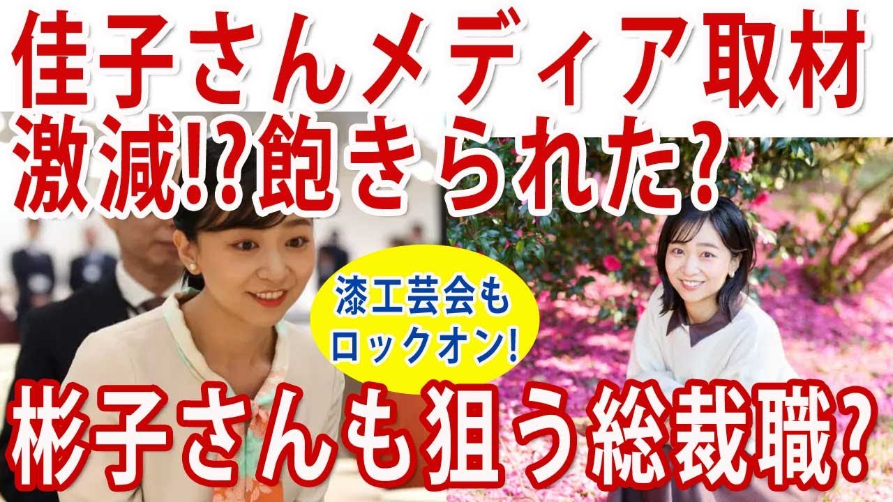 #彬子女王 のクラファン利用の1300万円の資金集めについて!