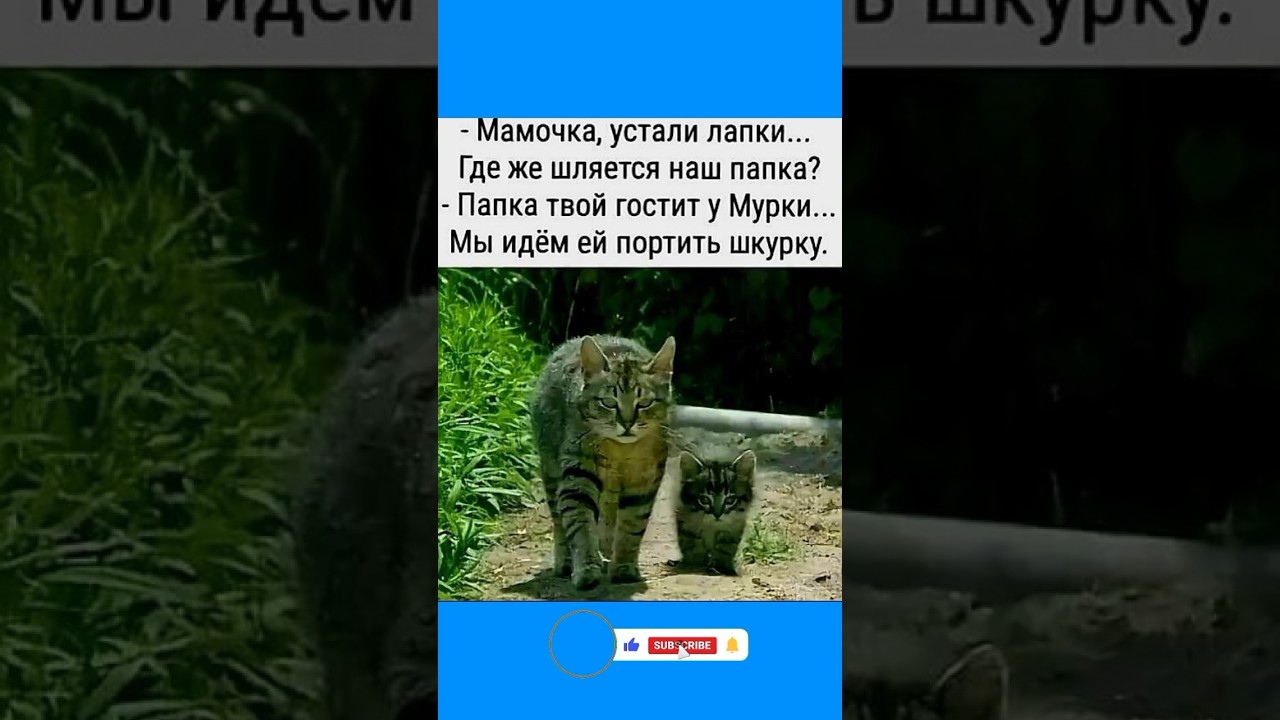Два типа оргонизима🤣🤣🤣#юмор  #cad#мем