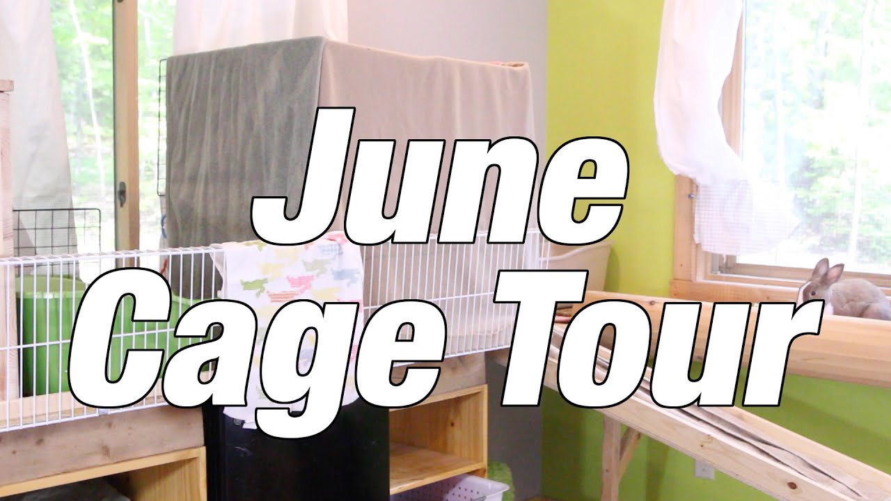 June Cage Tour 2015