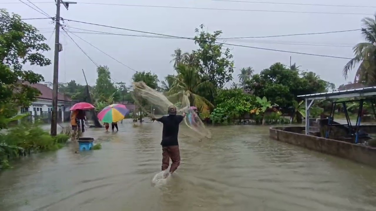 BANJIR DESA DADI REJO KEC. BELITANG III OKU TIMUR SUMSEL