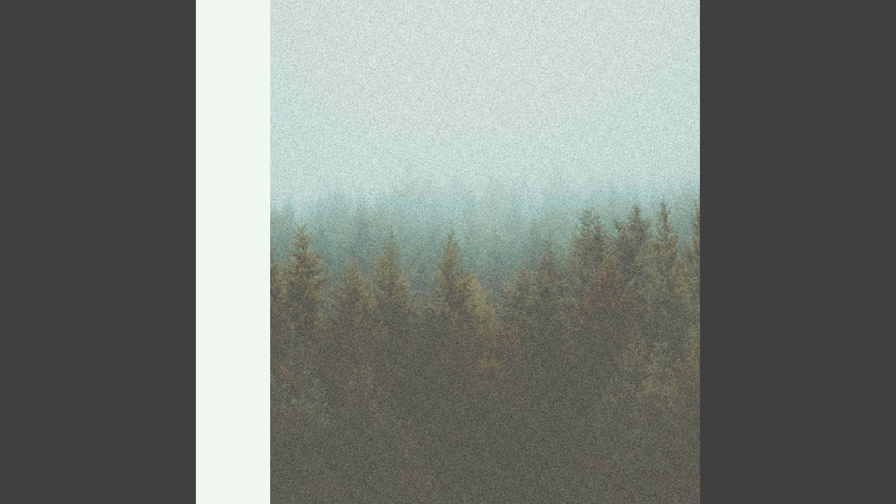 Picture book