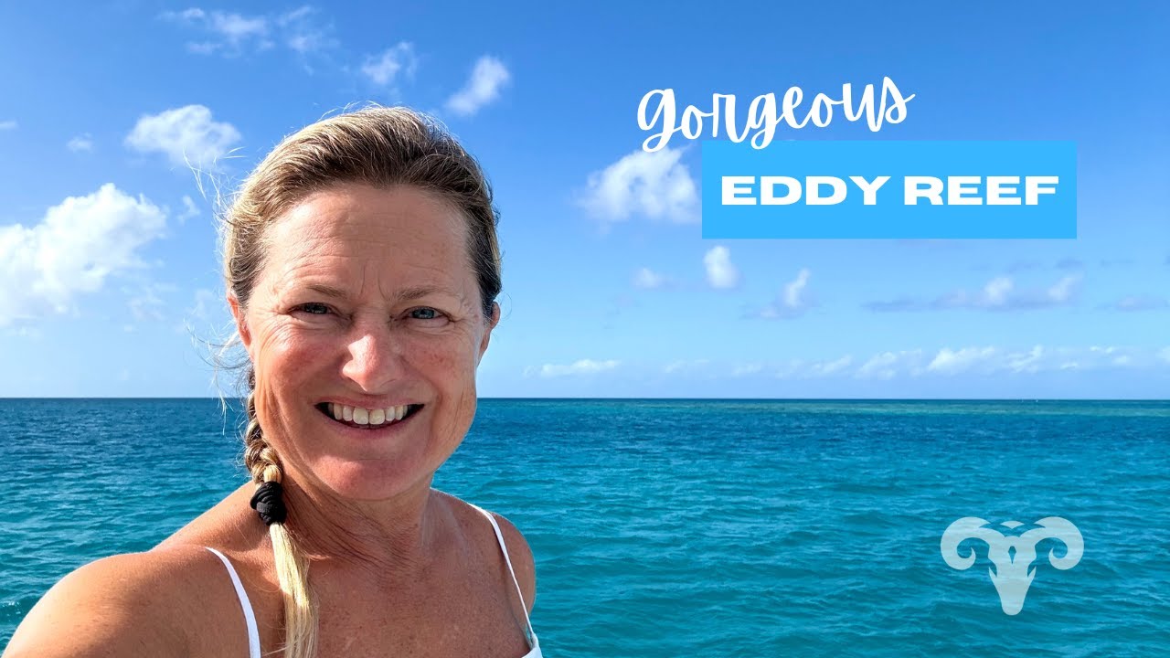 Эдди-Риф: великолепная находка у острова Данк (Эпизод 40) | Парусный спорт ARGO