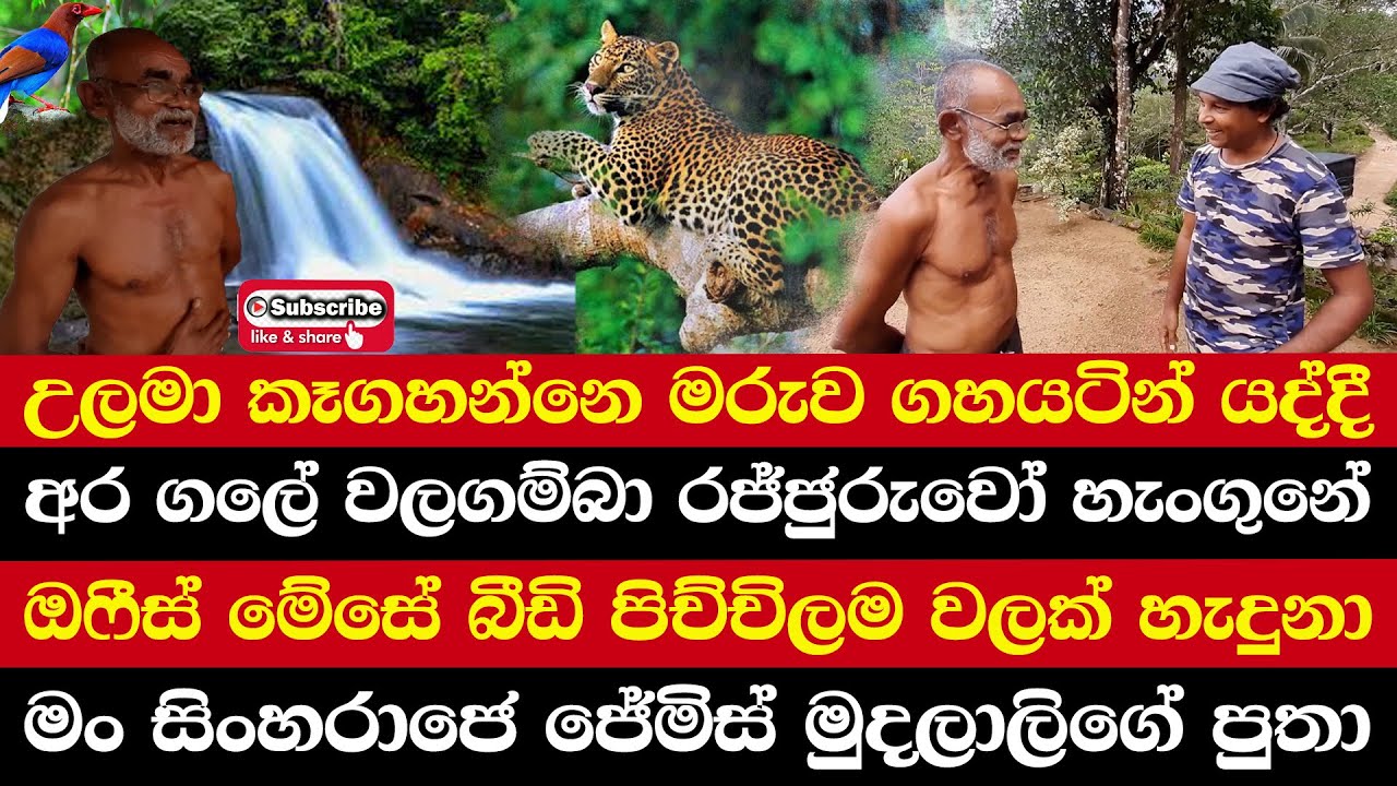 උලමා කෑගහන්නෙ මරුව ගහයටින් යද්දී|සිංහරාජෙ ජේමිස් මුදලාලිගේ පුතා|ඔෆීස් මේසේ බීඩි පිච්චිලම වලක් හැදුනා