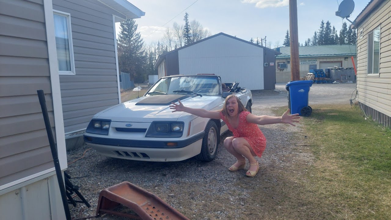 Мой старый Ford Mustang 1986 года по кличке Лило вернулся в гости! Давайте посмотрим на него.