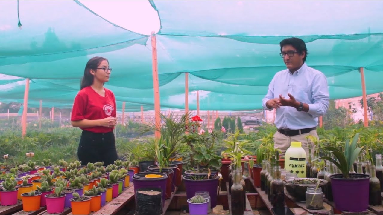 Emprendimientos Bicentenario || VIVERO TRUJILLO GARDEN
