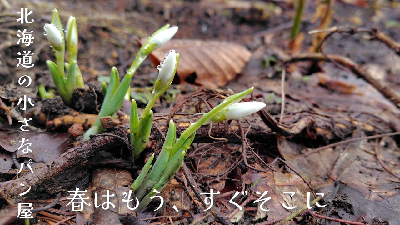 【北海道の小さなパン屋】春はもう、すぐそこに