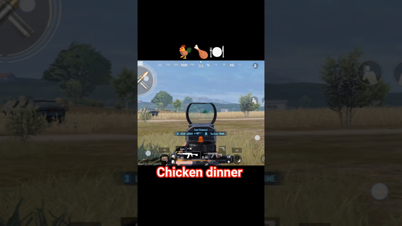 # chicken dinner
