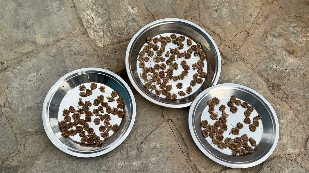 पहाड़ों में घर बनाना आसान नहीं, बनाने से पहले टूट जाता है, धंस गई मिट्टी टूट गया रास्ता 😱😫☹️🙏