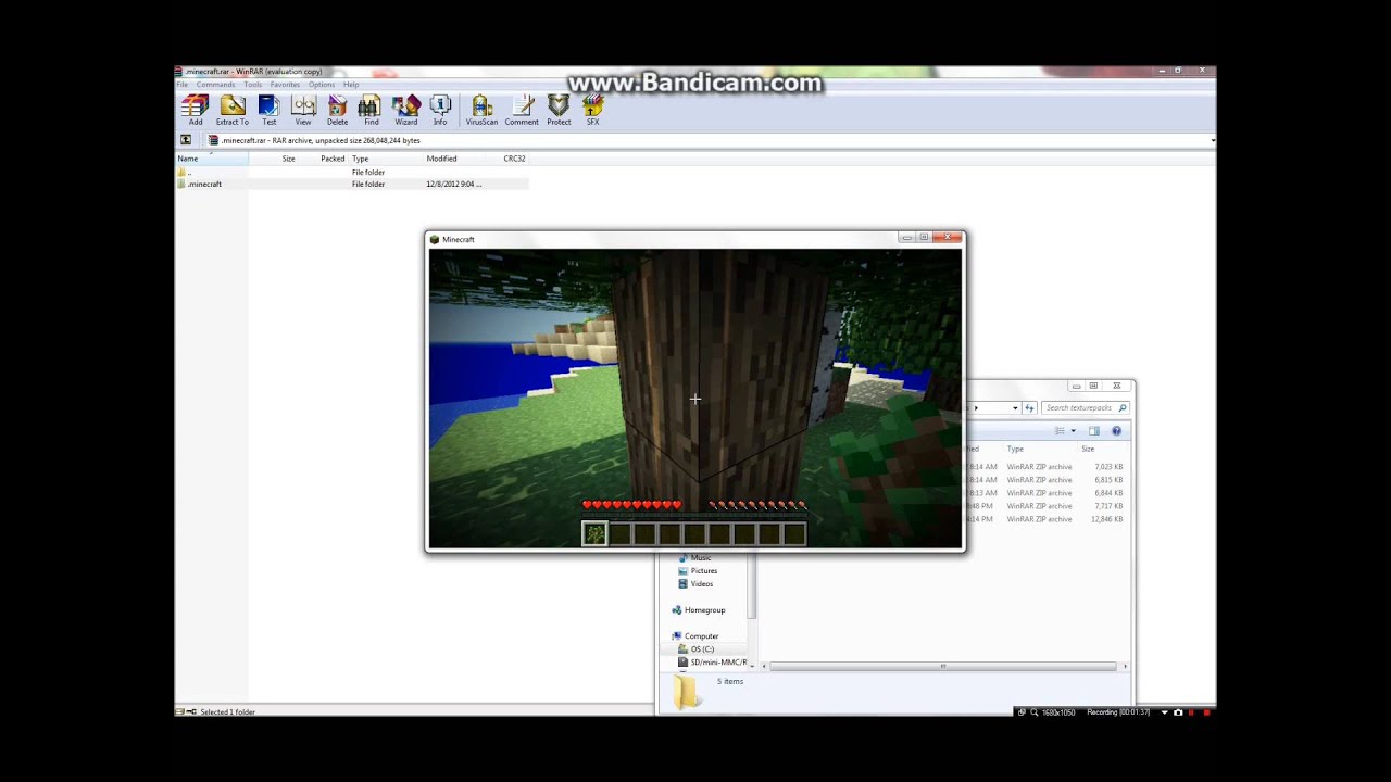 Minecraft 1.2.5 Ultimate Graphics Pack by theB1FFS