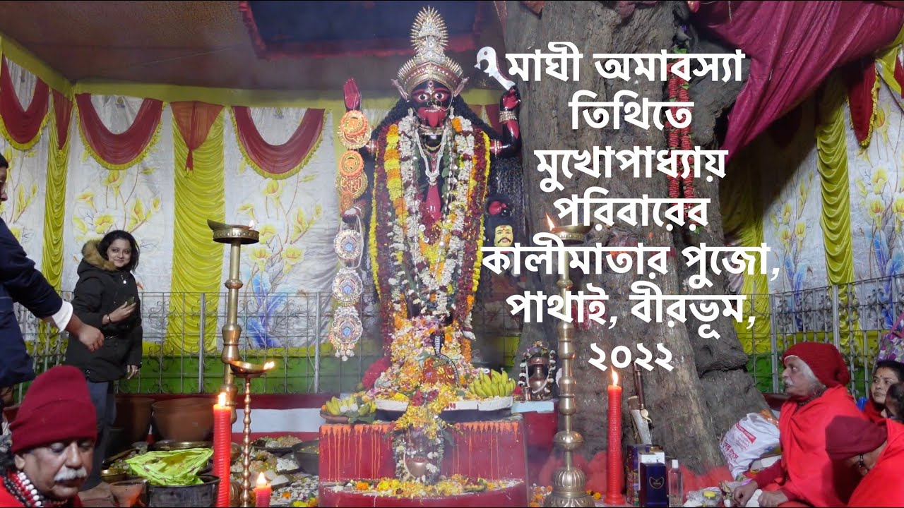 বনেদি বাড়ির কালী পুজো | পাথাইর মুখোপাধ্যায় পরিবারের কালিমাতার পুজো, পাথাই, বীরভূম, ১৪২৮