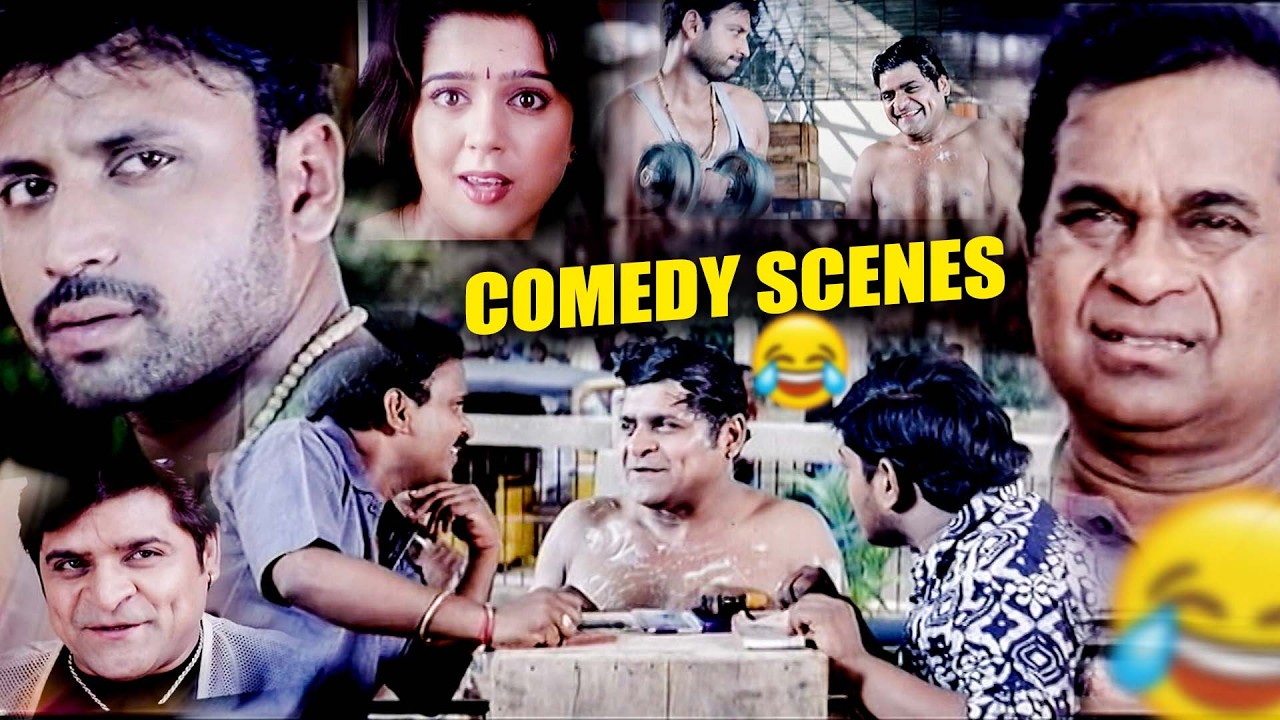 Chinnodu Movie Comedy Scenes Back To Back | Sumanth, Venumadhav, Ali, Brahmanandam Comedy | iDream