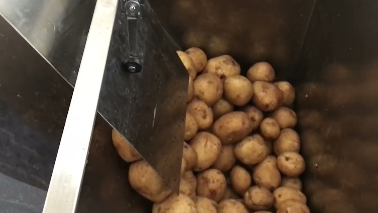 Descascador de Legumes Industrial | Incalfer | Descascar Cebola sem Chorar!