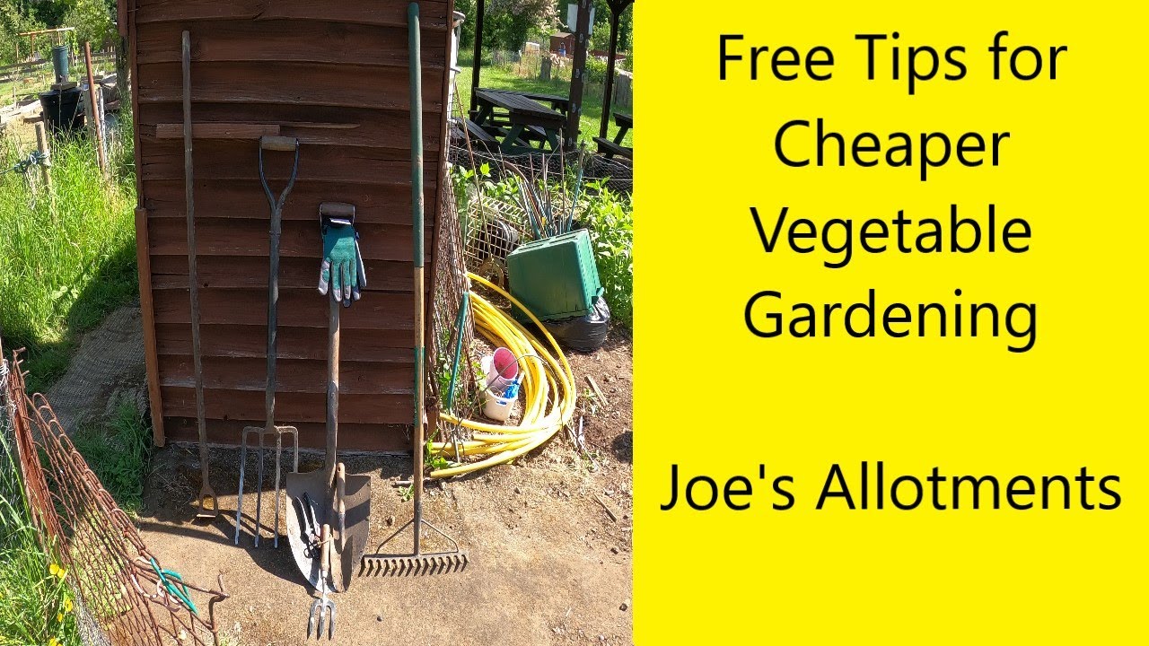 Free Money Saving Tips for Cheaper Vegetable Gardening - UK Allotment (Zone 8)