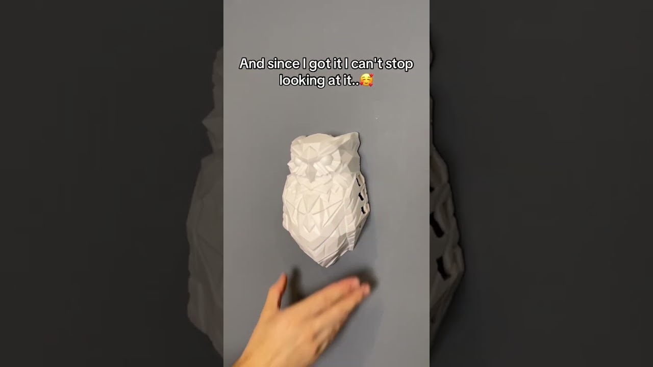 I love owls🥰🦉 #owl #decor