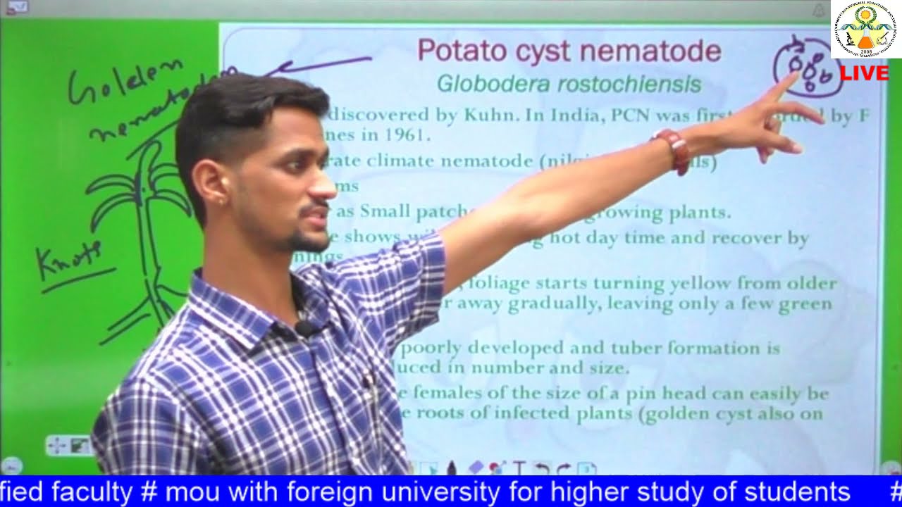 PPATH 221 Lecture  10 Diseases of Potato Part 2 and Onion