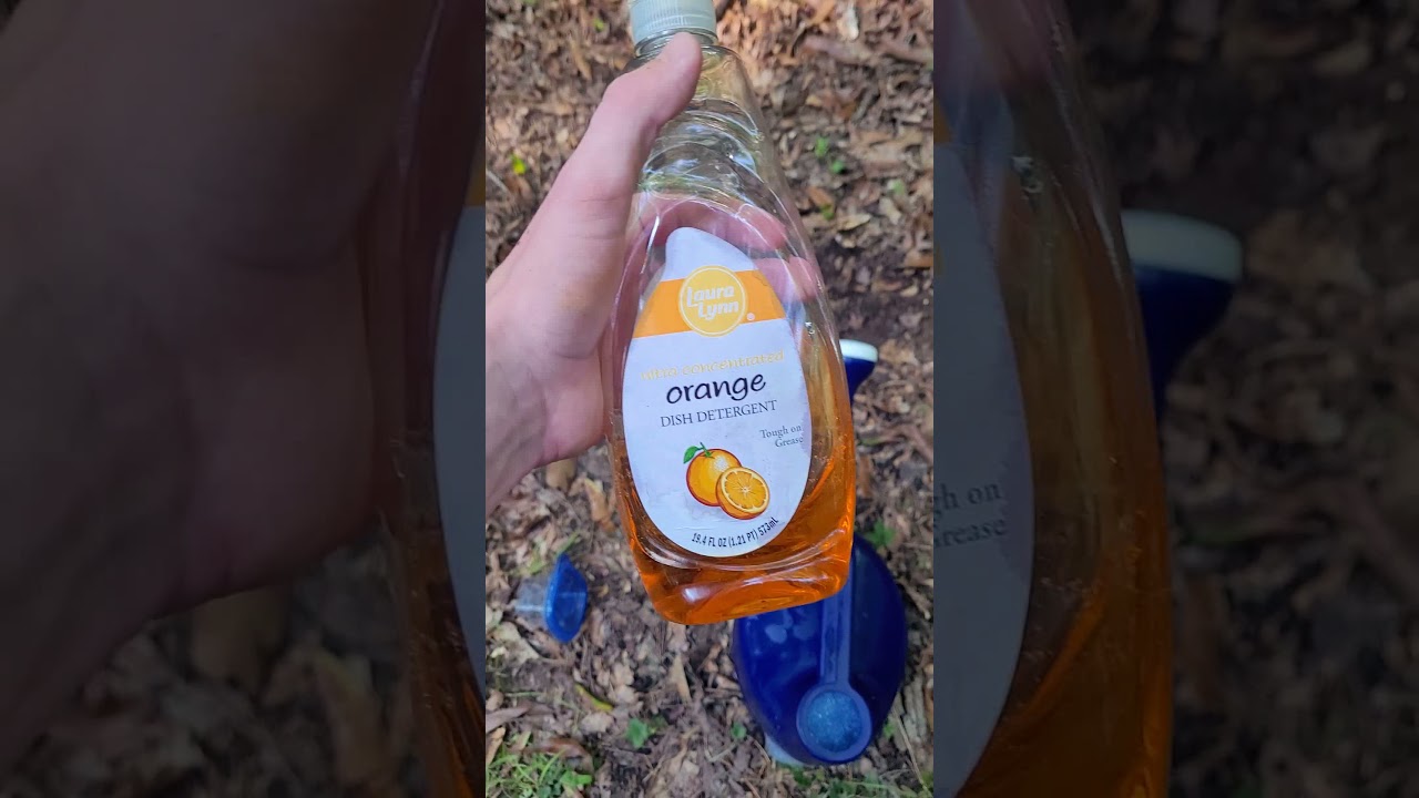 how to catch worms for fishing with dish soap!