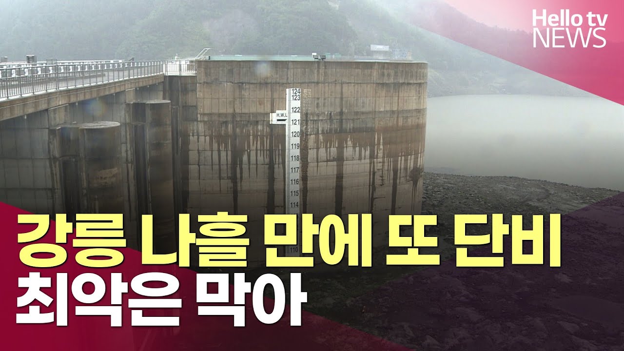 강릉 나흘만에 또 '단비'…해갈까지 갈 길 멀어ㅣ#헬로tv뉴스