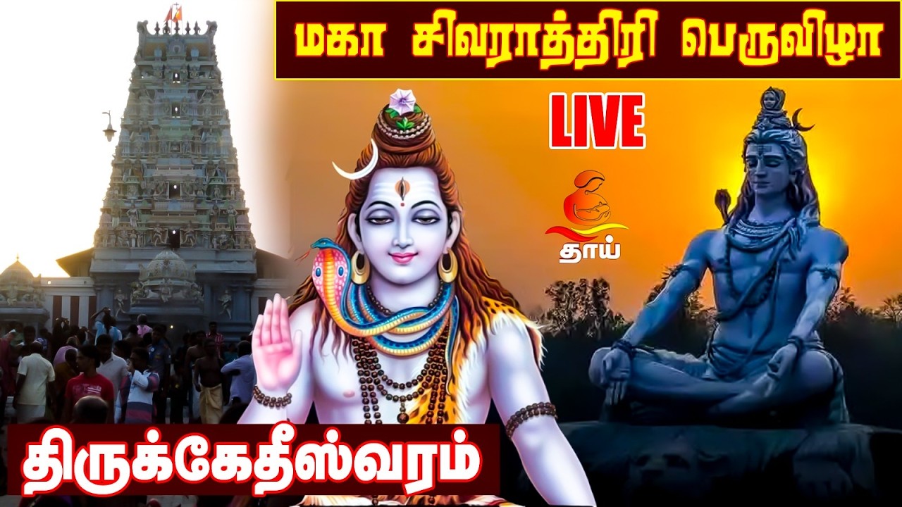 🔴 LIVE | மன்னார் திருக்கேதீஸ்வரம்  | மகா சிவராத்திரி பெருவிழா  MAHA SHIVARATRI 2026 LIVE