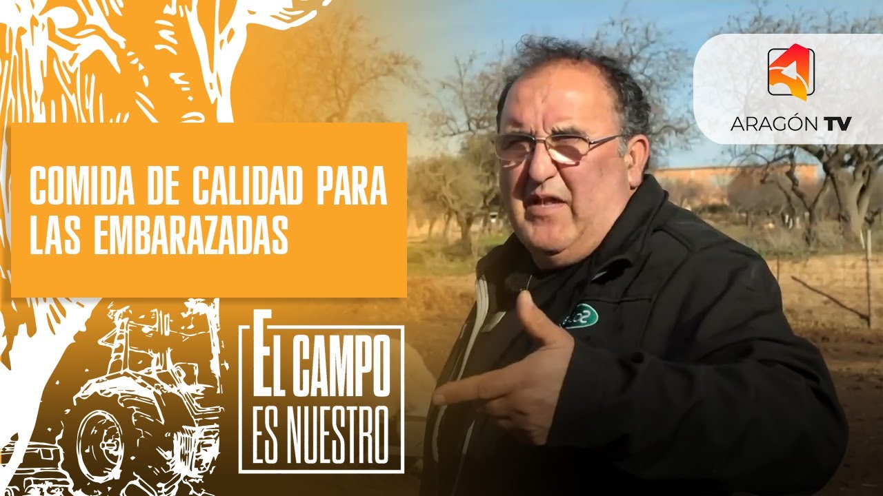 Comida de calidad para las preñadas