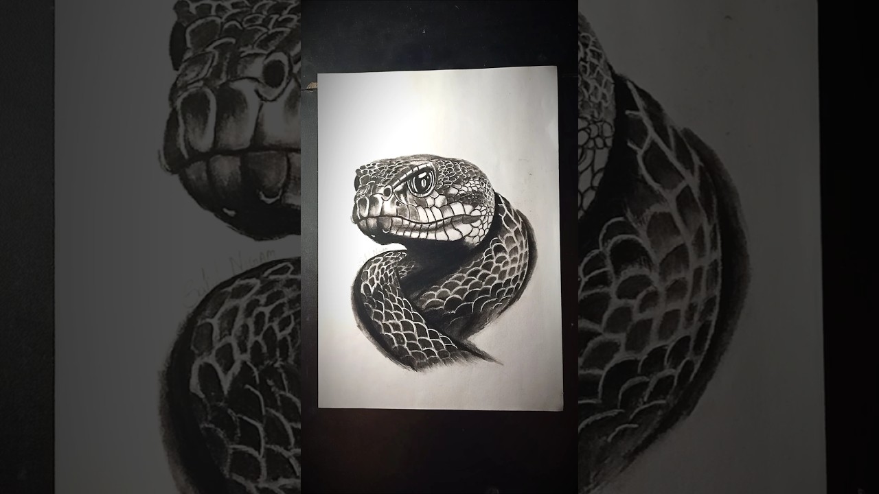 3D realistic snake drawing transition ☠️| #art #drawing #3d #3dart #realisticdrawing #snake #shorts