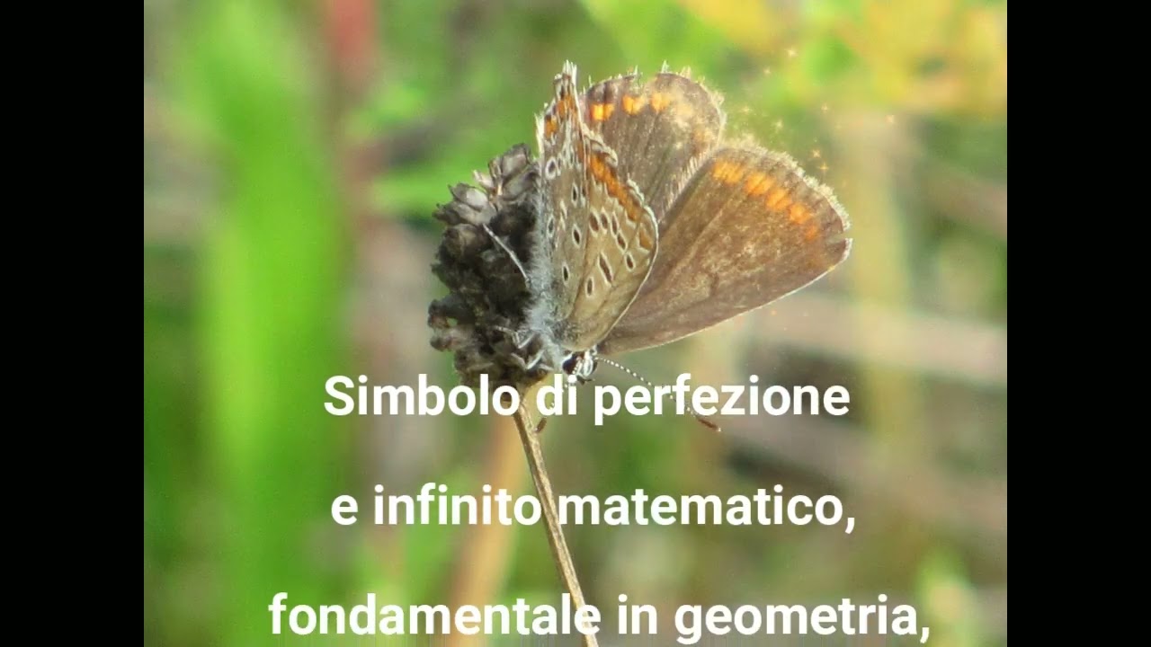 Buon 14 Marzo Giornata del Pi Greco infinito matematico