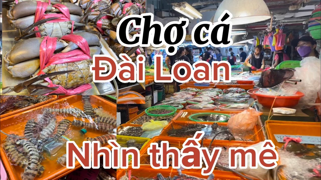 Chợ ￼Cá ở Đài Loan￼,Người Đài họ bán Hải Sản Như Thế Nào ￼￼/Bùi Phượng Cuộc Sống Sống Đài Loan