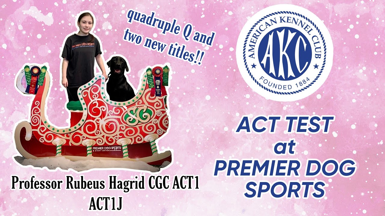 AKC ACT Test VLOG | Agility Trial Vlog