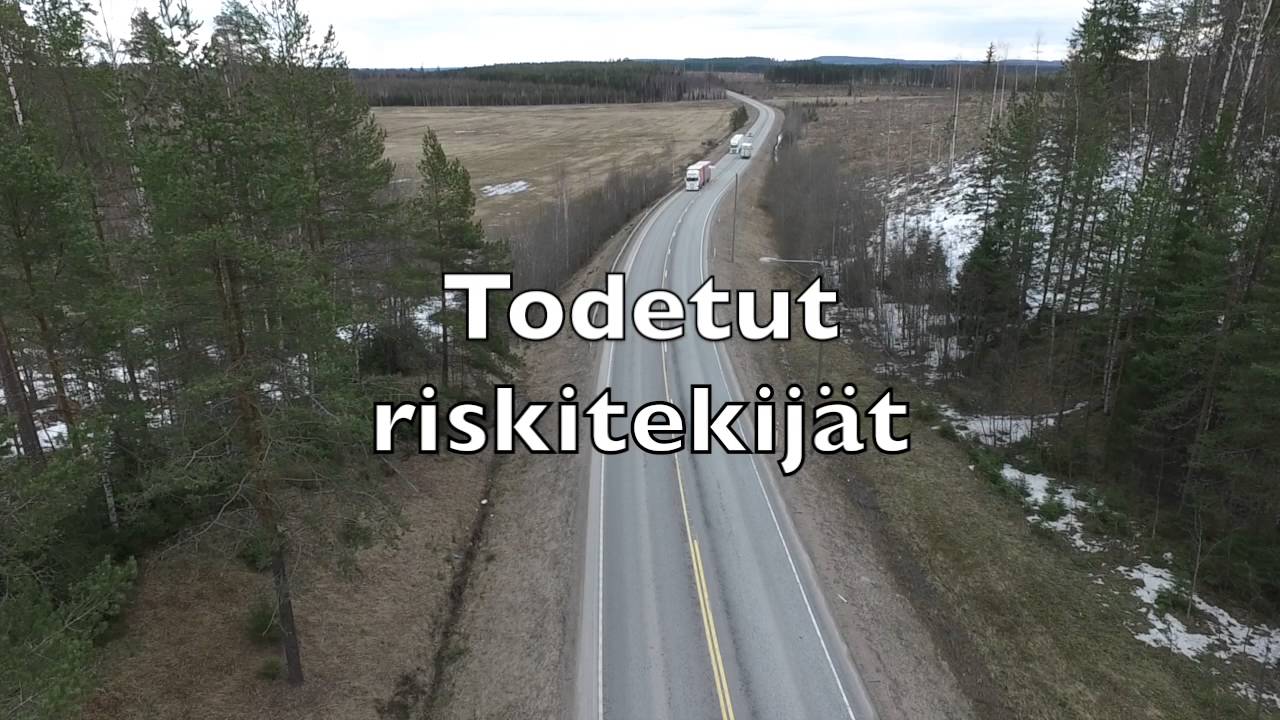Viitasaari, valtatie 4