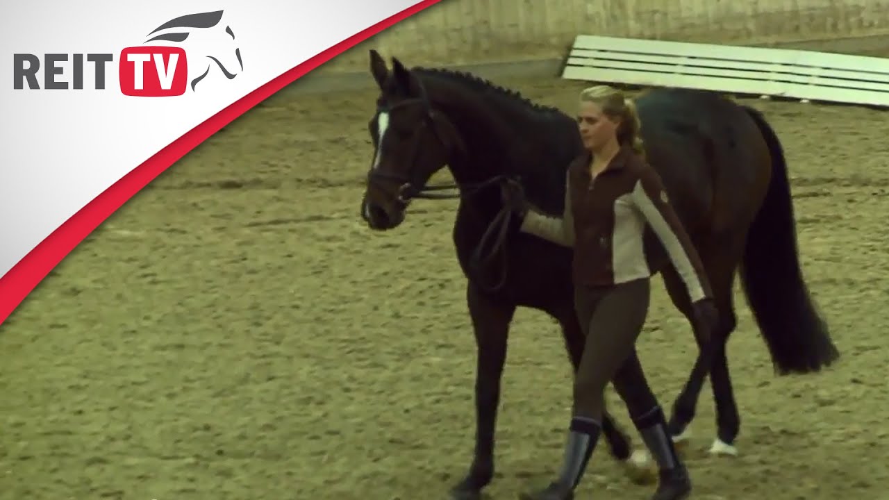 Junge Pferde ausbilden - Klaus Balkenhol in Leverkusen Teil 1a | Die Alten Meister