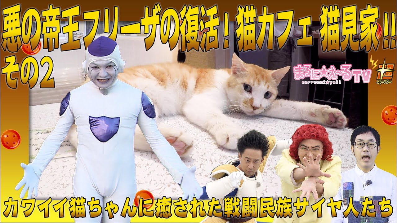 悪の帝王フリーザの復活！！猫カフェ猫見家！！　その２